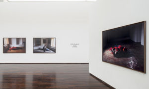 Corps de Masse (Photography) at the MAC/VAL (contemporary art museum - Vitry-sur-Seine, France)