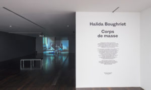  Installation view : Corps de Masse at the MAC/VAL (contemporary art museum - Vitry-sur-Seine, France)